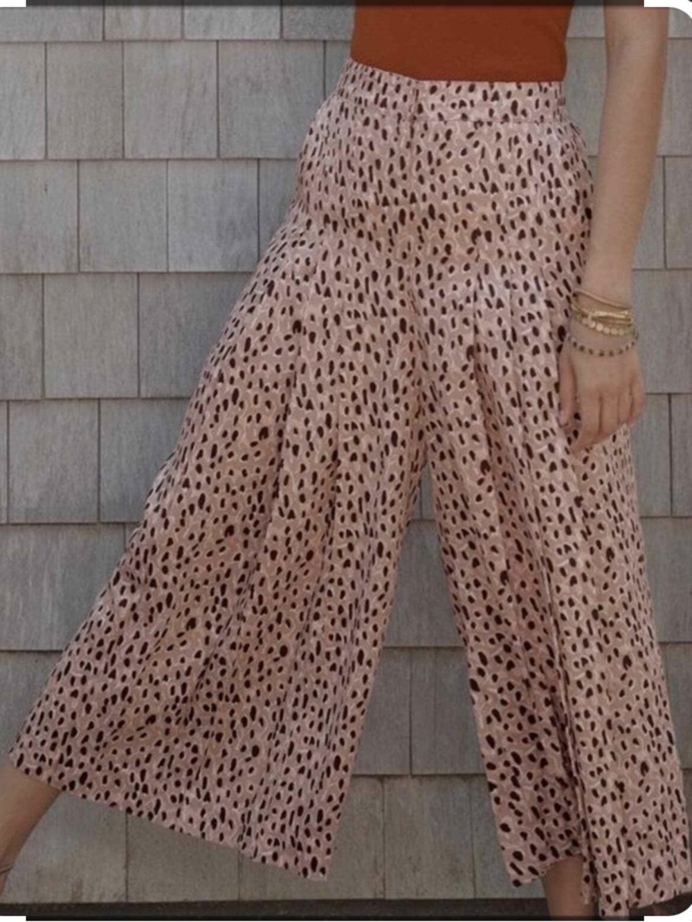 Anthropologie Isobel pleated Leopard print wide leg Pants